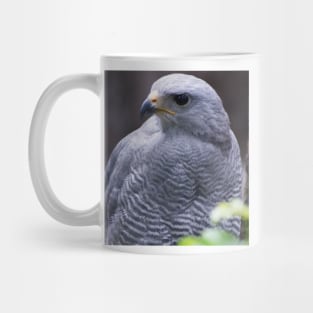 sli harris eagle Mug